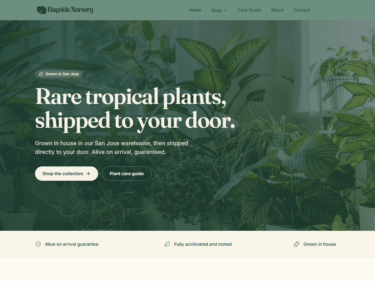 Custom headless Shopify webshop gebouwd voor Bayside Nursery door DiBiSo